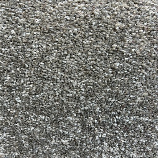 Grey Cutpile